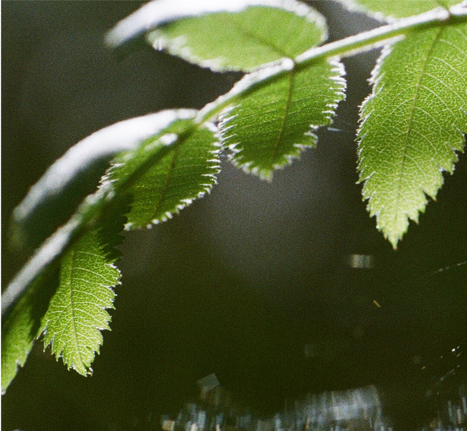Gamta
